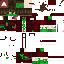 Texture for ITZ_ENDERCRAFT