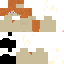 Texture for B5