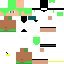 Texture for EnderThi N