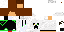 Texture for fs