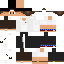 Texture for Maxi Evolution