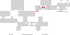 Texture for Shiny Bunnelby