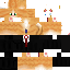 Texture for GingerCat
