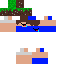 Texture for derPas holding a Grass Block