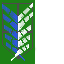 Texture for survey corps cape