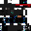 Texture for nija raphael