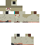 Texture for lehi_v2