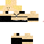 Texture for ds
