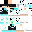 Texture for steve