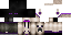 Texture for ender 
