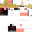 Texture for Zipray520