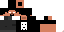 Texture for C4RL05