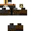 Texture for Sim?
