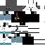 Texture for fsd