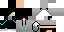 Texture for steve roupa 4