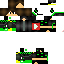 Texture for Samet