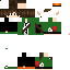 Texture for elf game