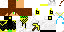 Texture for char