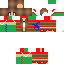 Texture for Canarie21
