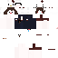 Texture for kittyp