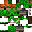 Texture for King_forest
