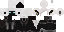 Texture for Spinzir