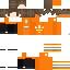 Texture for robin43522