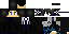 Texture for DYLAN