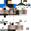 Texture for Ender