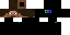 Texture for ninja
