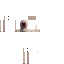 Texture for pana walter