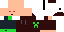 Texture for steve