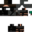 Texture for ninja
