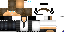 Texture for Lion
