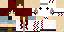 Texture for Kit-Nark