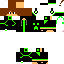 Texture for Bakir_MC