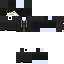 Texture for Peinguin