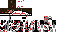Texture for Captain