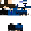 Texture for h33