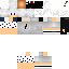 Texture for sd