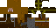 Texture for gimii