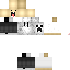 Texture for robo