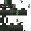 Texture for dino