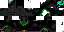 Texture for wither assassin