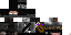 Texture for Image