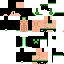 Texture for touko bro