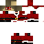 Texture for ladybug adnepro santa