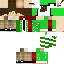 Texture for Steve