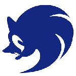 Texture for sonic