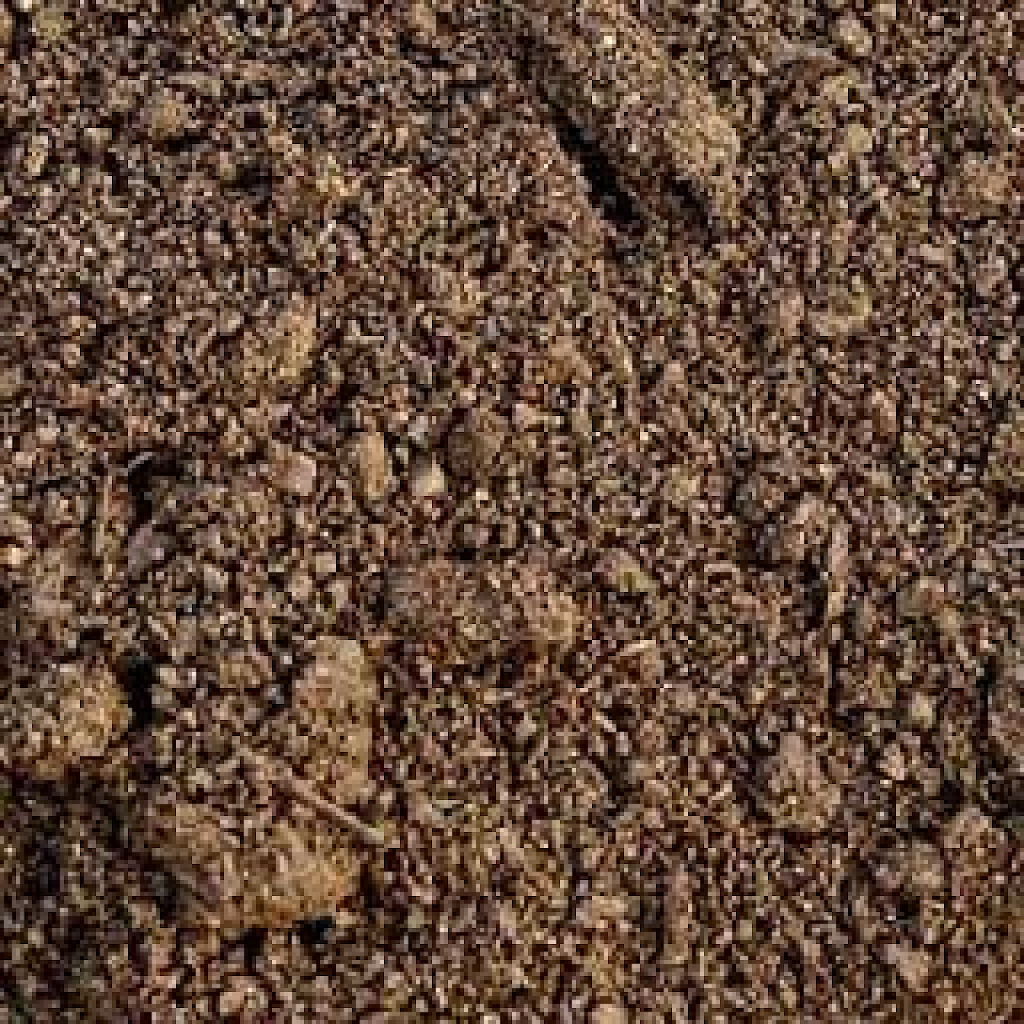 Texture for grass_block_side